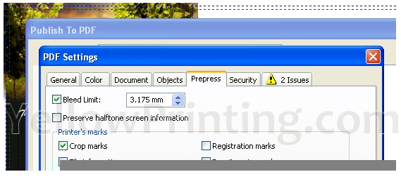 bleed PDF Settings