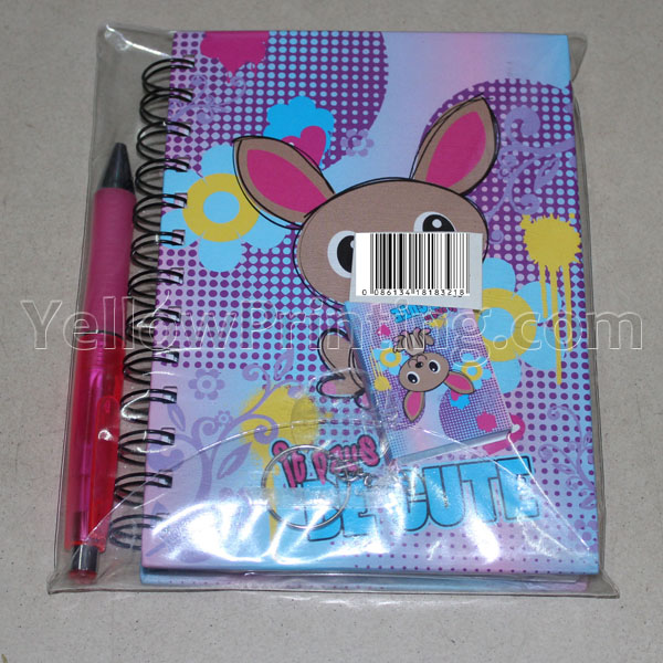 exercise notebook