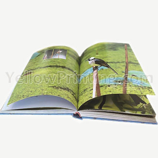 Low-Cost-Publishing-Books-Printing-Services-Customized-Design-Hardback-Book-Printing-Factory