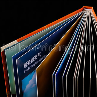 Thick-Hardcover-Bind-Book-Printing-4C-Hard-Cover-Books-Factory-Printing-Hardcover-Children-Book