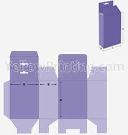 Tuck Top Snap Lock Bottom Paper Box Sample with Hang Tag