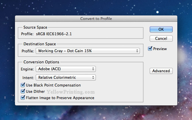 convert raster image to greystyle