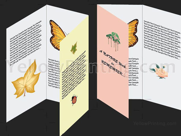 How to Make a Brochure in Adobe Illustrator