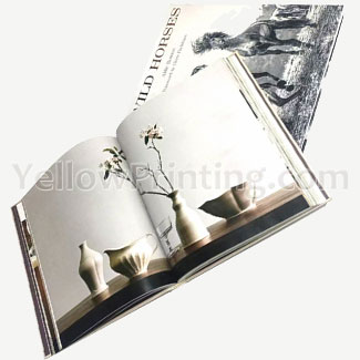 Book-Printing-Hardback-Paperback-Publishing-Printing-Book-Print-Cartoon-Illustration-Hardcover