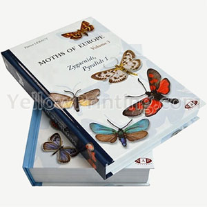 Hardback Story Novel Booklet Fiction Printing Book Printing A5 English Softcover Hardcover Book