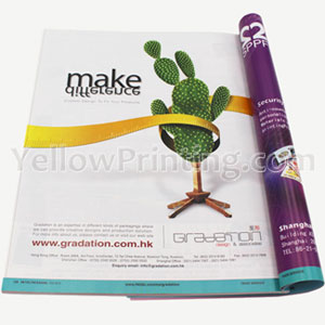 Paperback and Softcover Books Custom Color Printing Photo Book Novel Non-fiction Book Printing
